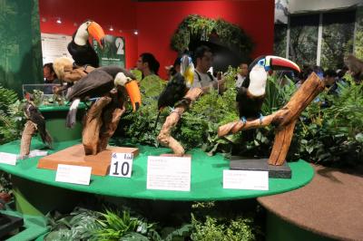 国立科学博物館、大アマゾン展を観る