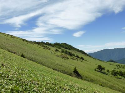 西条から寒風山トンネルを越えて瓶が森へ