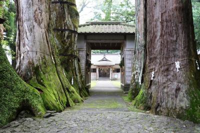 奈良時代に植えられたと云う伝説の夫婦杉に囲まれた蛭子神社参拝