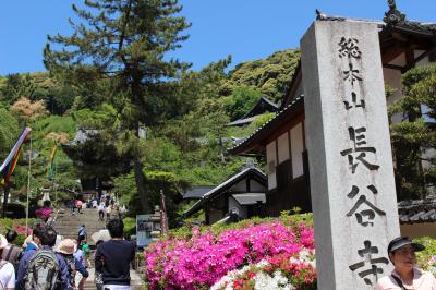 新緑の長谷寺