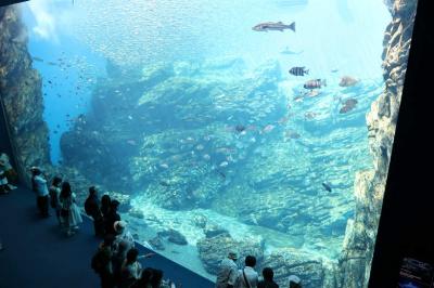 ><(((・>  【 仙台うみの杜 水族館 ”祝 グランドオープン” 】 　①　<・)))><　宮城野区　　仙台市　  