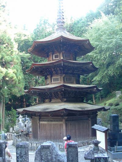 避暑地を求めて長野城巡りの予定の筈が仏塔巡りに