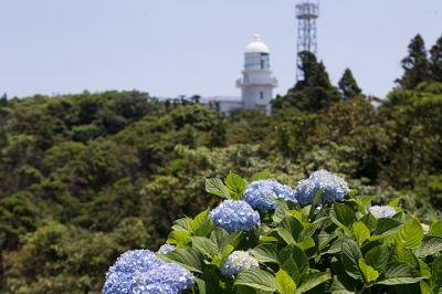 都井岬あじさいロード白亜の灯台