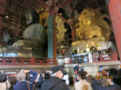 鈍行列車で姫路、奈良、京都周遊　２．(2015年4月)
