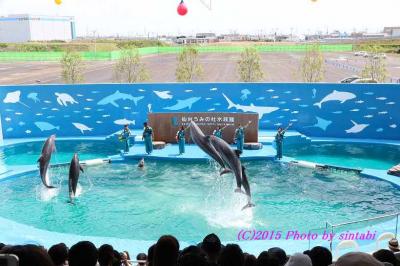 ><(((・>イルカのパフォマンス　フィナーレ　<・)))><”祝グランドオープン”仙台うみの杜水族館 ><(((・>＝⑤　宮城野区　仙台市