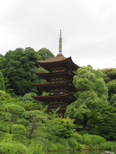 中国地方ぐるっと一回り　⑦山口市内