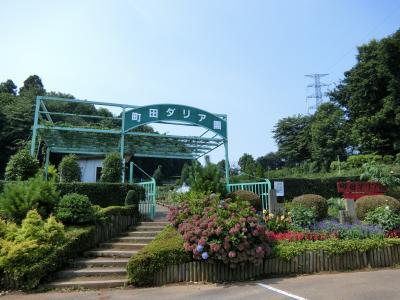 町田ダリア園