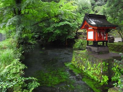 鹿児島５日間③はやとの風に乗って霧島神宮、神秘的な御手洗川
