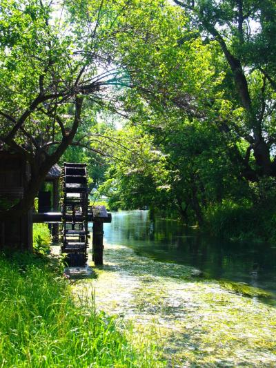 夏の信州旅01 安曇野 大王わさび農場