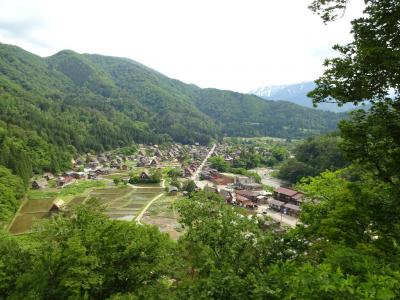 新緑の白川郷