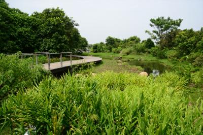 香港湿地公園へ行こう2★香港湿地公園でのんびり自然散策