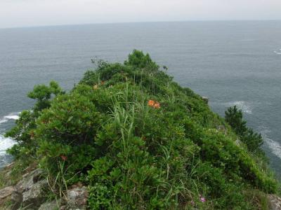 2015夏・約10年振りの宮崎旅（後篇・県北中部編）；束の間の晴れ間を利用してサイクリング