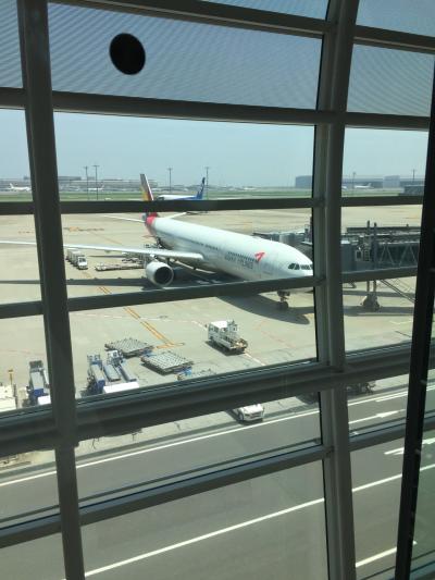 SS6アンコールコンサートin SEOUL!