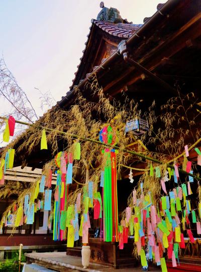 鶴岡3/7　荘内神社　鶴ヶ岡城の本丸址に ☆天主堂に黒い聖母マリア像