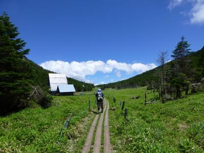 夏の北八ヶ岳 ２　～北横岳から縞枯山荘へ～