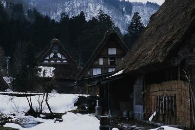 白川郷と金沢-おひとり様ご訪問-1