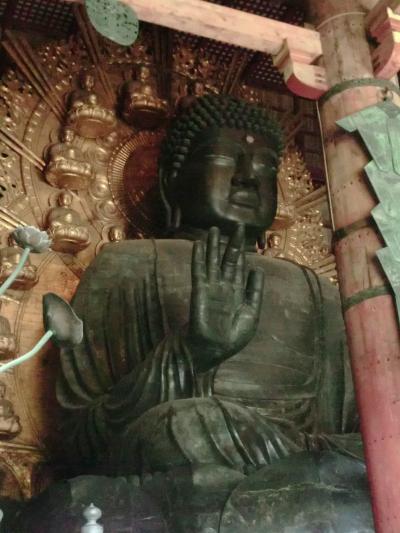 中国・韓国との縁 世界遺産・元興寺～興福寺～東大寺を巡る