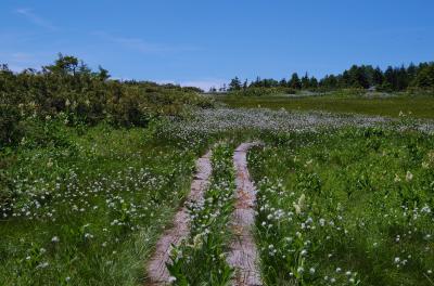 南会津、湯ノ花温泉に泊まって、花の山・田代山、帝釈山へ