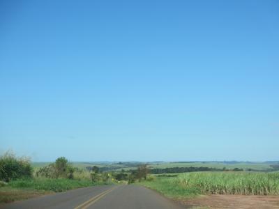 風邪引きも一段落したので