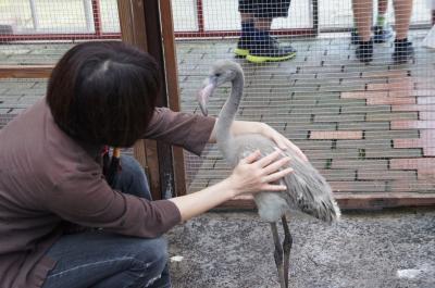 富士花鳥園で花を愛で鳥と戯れてきました