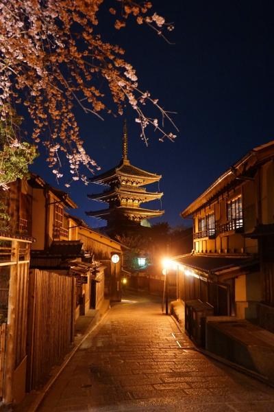 リベンジ！！春の京都散歩１泊２日～終わりかけの桜を探す旅2015～