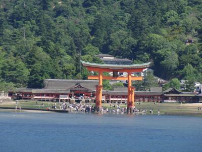 小6の修学旅行以来の広島へ。どう感じるのか？　（1日目　厳島神社、マツダスタジアム）