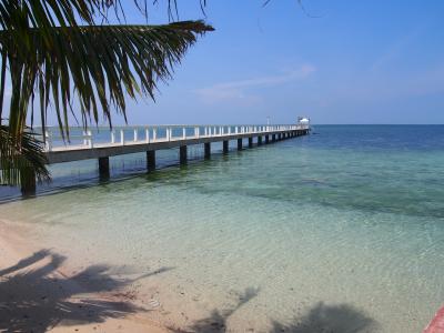 セブ・パシフィック♪青い海とはじめてのダイビング(・∀・)１日目