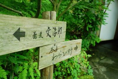 絶景カフェに行ってみた!