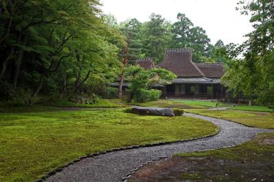 奈良　吉城園　苔を見る３　梅雨には梅雨の楽しみ方がある