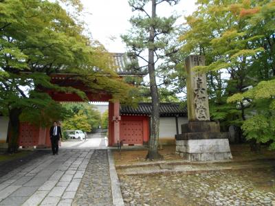 京都ぐるりとバス旅～東寺から白川エリア、八坂神社まで