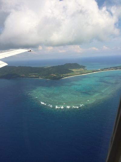 石垣島二泊三日ほぼダイビング＊Day1