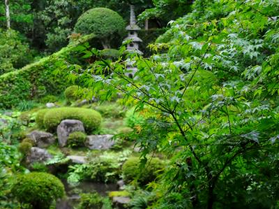 雨にも風にも台風にも負けずに　京都～大原三千院♪