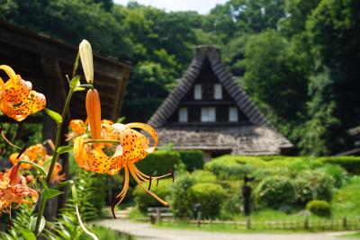 生田緑地　散歩の巻