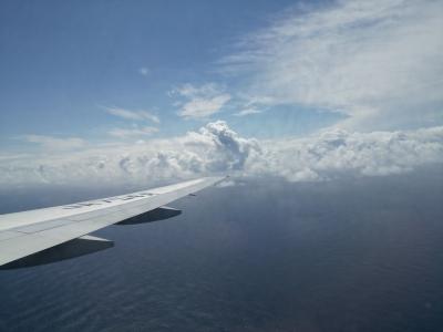 住んでるように感、ありすぎて…沖縄本島