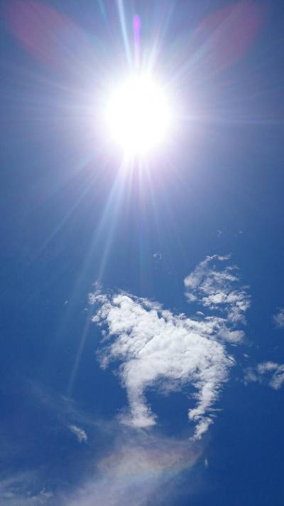 石垣島二泊三日ほぼダイビング＊Day2