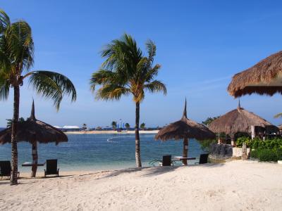 セブ・パシフィック♪青い海とはじめてのダイビング(・∀・)２日目