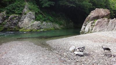 15年7月 ワンコと行く川遊び＠秋川渓谷