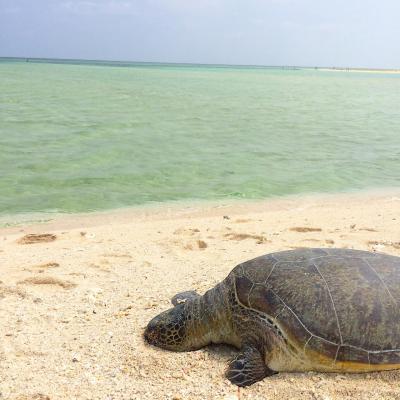 何もしない贅沢 久米島
