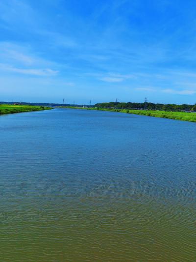 佐倉3/4　西印旛沼サイクリングロード　専用県道で快走　☆印旛沼公園の展望も