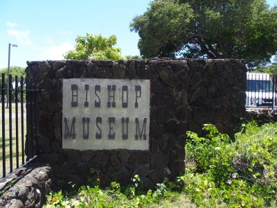2015年　ハワイ　⑦　５月１９日　大失敗！ビショップ博物館～アラモアナ　