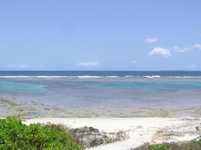 黒島・石垣島へ　１日目