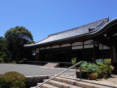 駿河沼津 地政的に徳川・小田原北条・武田が衝突する地域で戦国後期の三枚橋城主松平康親・江戸期中期の沼津城主水野忠友の菩提寺『乗運寺』散歩