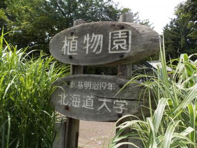 北海道大学植物園は、