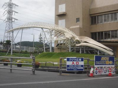 房総旅行３日目　ドライブ