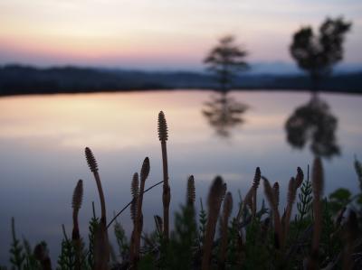新緑と残雪の魚沼