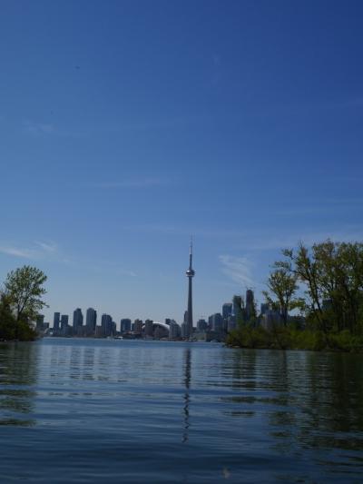 CN TOWERばかりを集めてみました☆