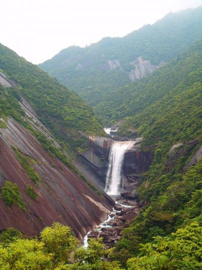 屋久島旅行1日目＜羽田から屋久島＞