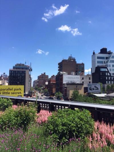 人生初！！憧れのニューヨーク NYC3日目