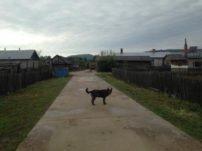 中国東北部放浪