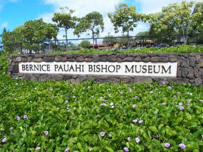 2015年　ハワイ　⑧　５月２０日　ビショップ博物館でハワイの歴史を学ぶ